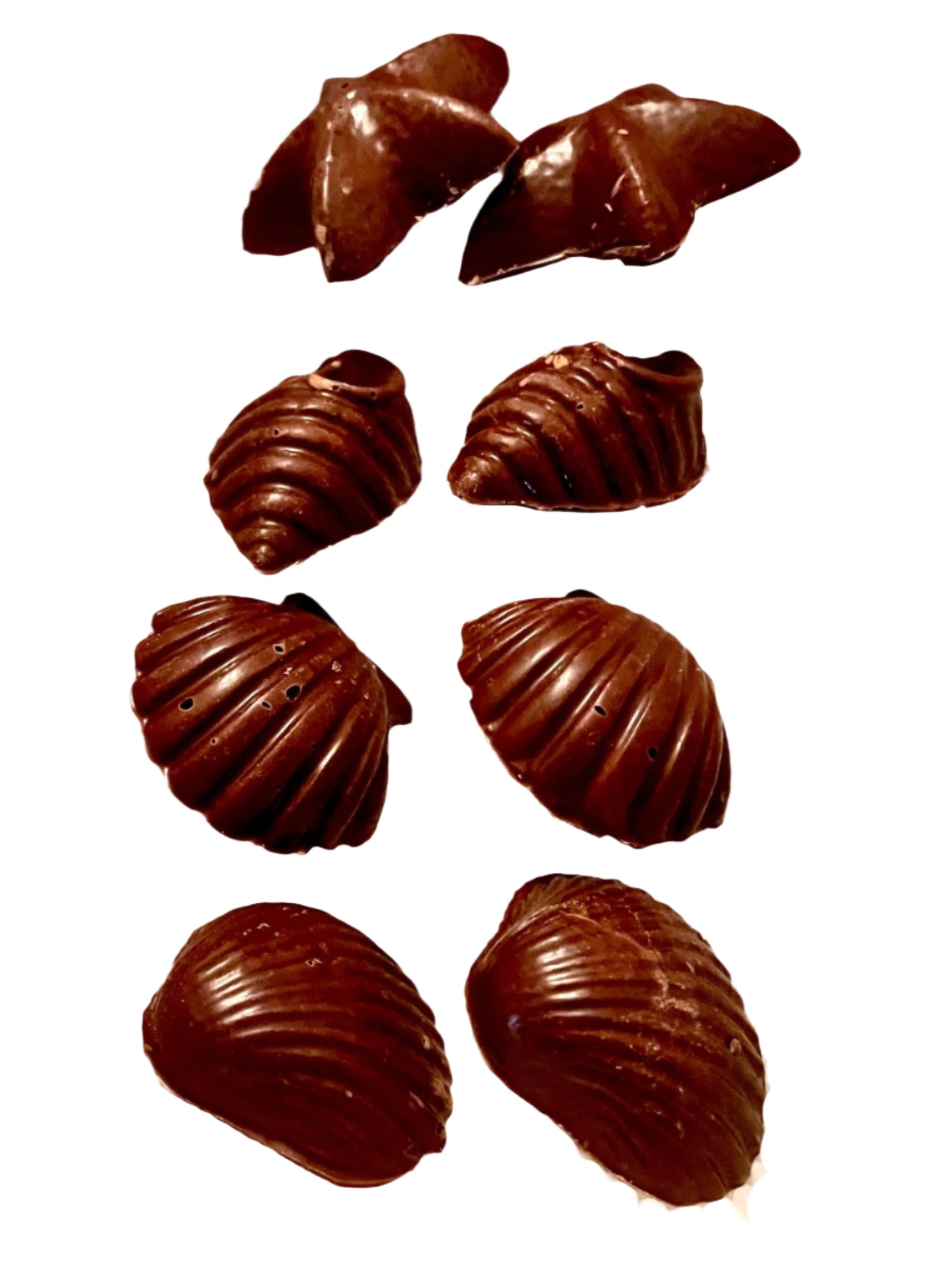 Chocolate Seashells