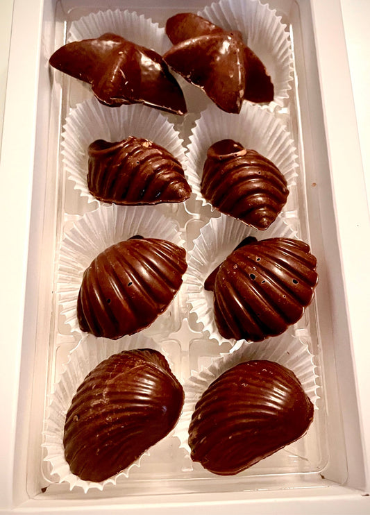 Chocolate Seashells